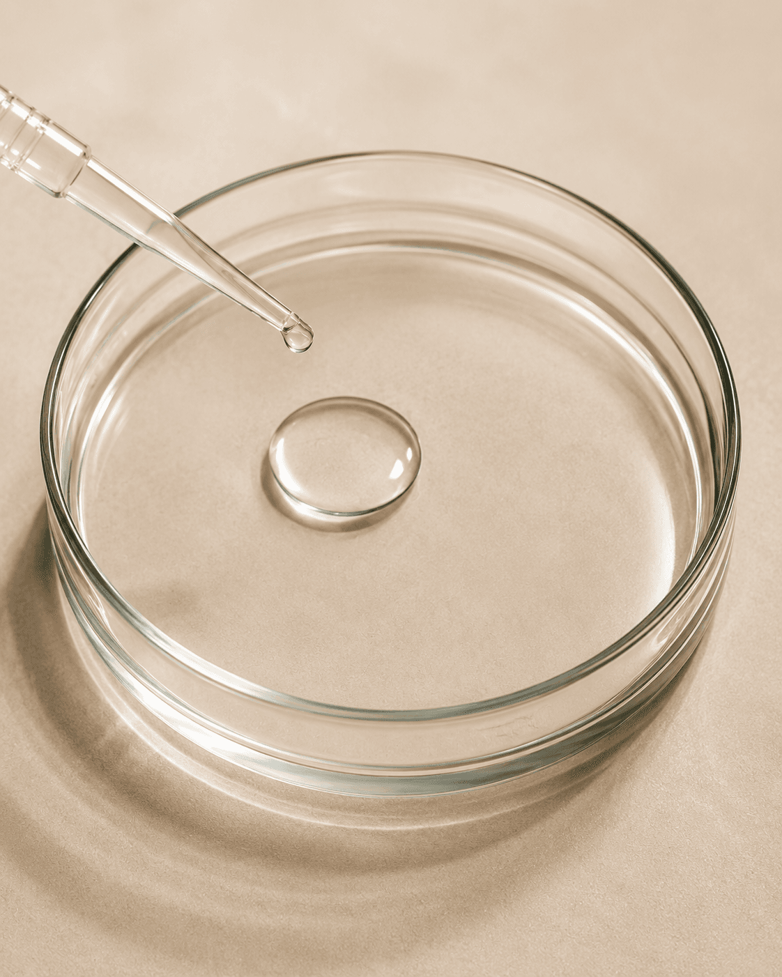 Laboratory pipette and petri dish